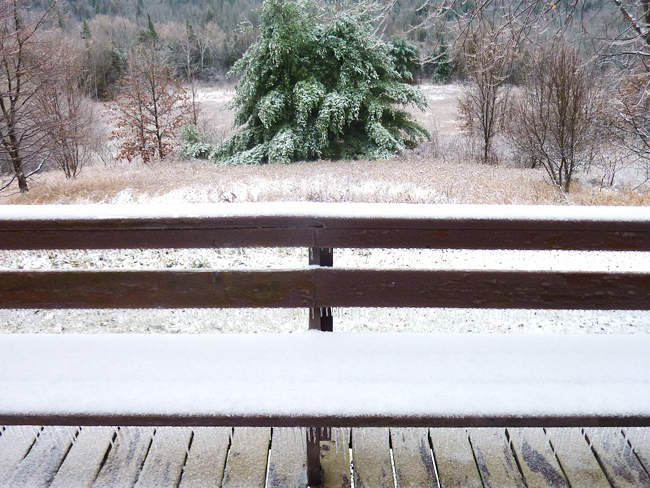 Snow view from the porch